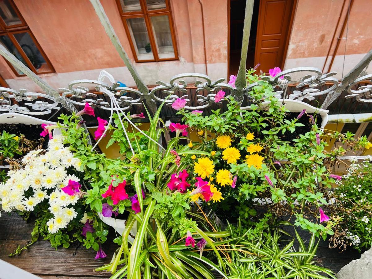 Apartment In The City Center Mini Ivano Frankivsk Bagian luar foto