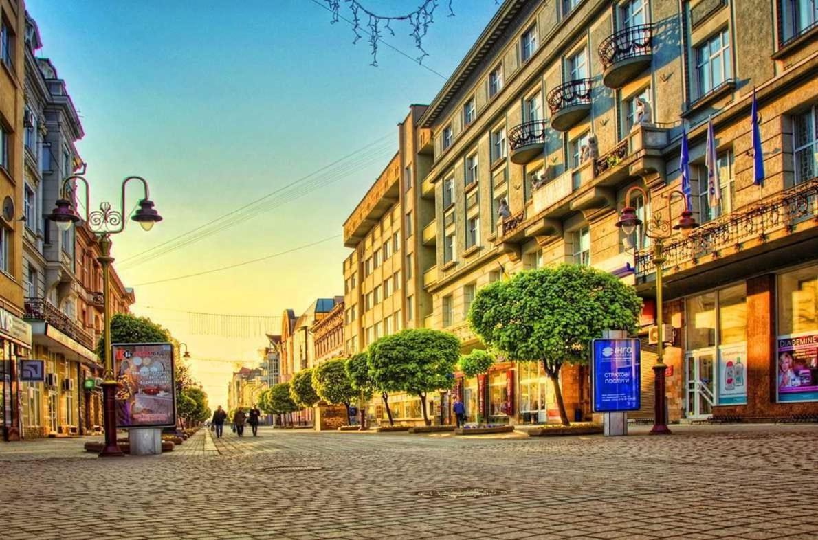 Apartment In The City Center Mini Ivano Frankivsk Bagian luar foto